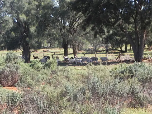 Second view of Homely rural property listing, Address available on request