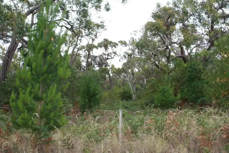Third view of Homely land listing, Lot 3 Mason Road, Naracoorte SA 5271