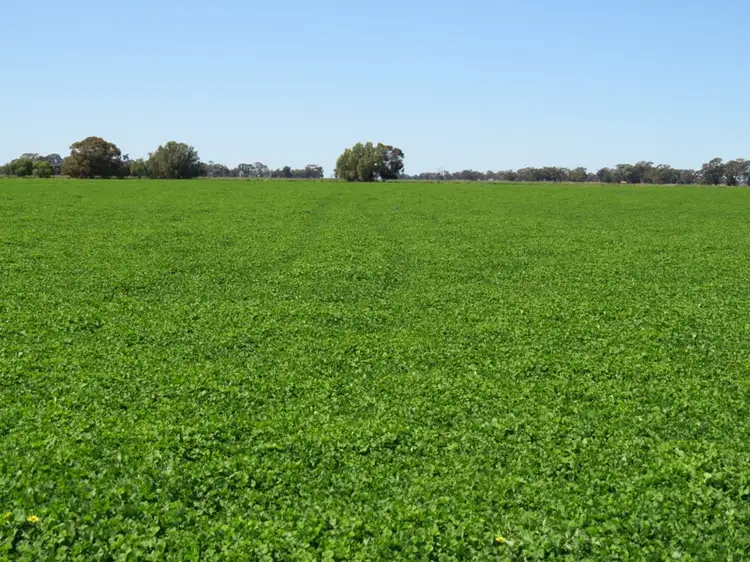 Third view of Homely rural property listing, 163 Holzigals Road, Finley NSW 2713