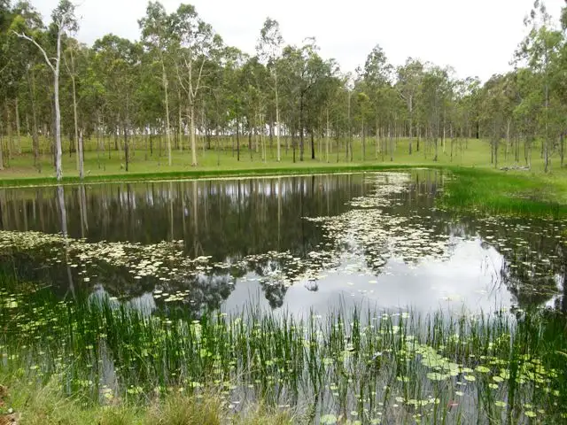 Main view of Homely rural property listing, 342 Four Mile Lane, Clarenza NSW 2460