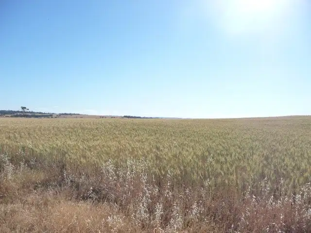 Fourth view of Homely rural property listing, Lot 801 Parker Road, York WA 6302