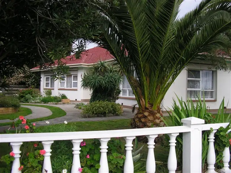 Main view of Homely house listing, 16 Cassells Street, Millicent SA 5280