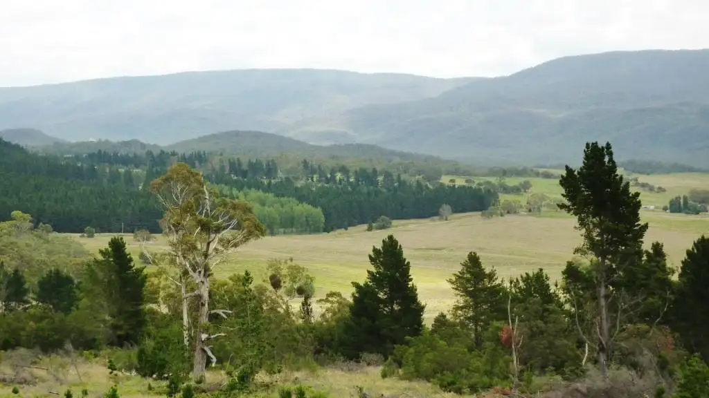 Main view of Homely rural property listing, Lot 1 & 217 Kain Cross Road, Krawarree NSW 2622