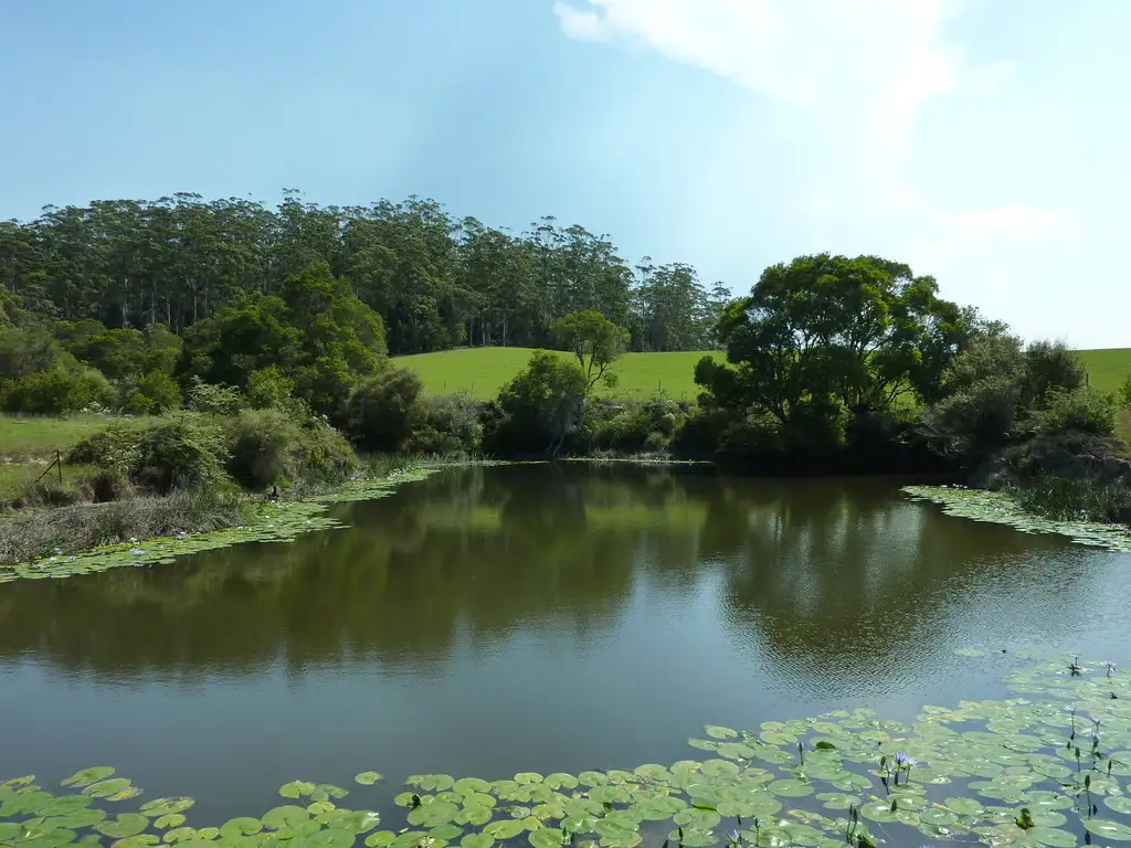 Main view of Homely house listing, 1590a Eastern Dorrigo Way, Lowanna NSW 2450