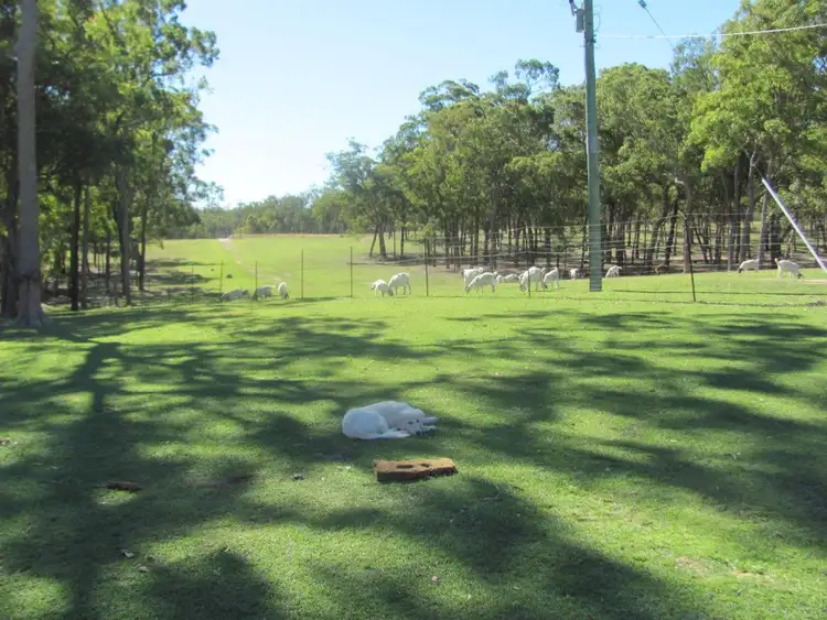 Seventh view of Homely rural property listing, 1833 Tableland Road, Mount Maria QLD 4674