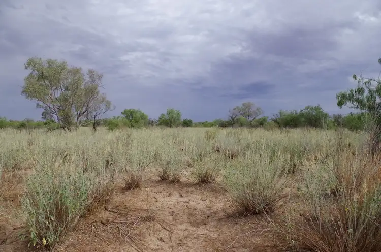 ' Burkobulla ', Quilpie QLD 4480