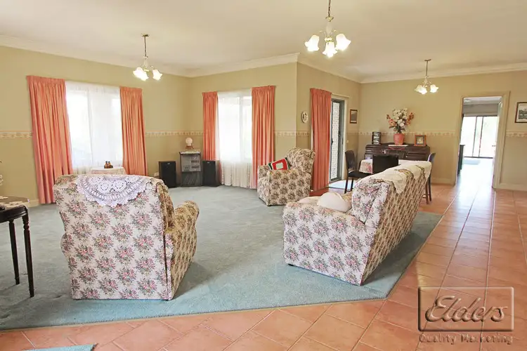 Third view of Homely house listing, 19 Cherry Tree Lane, Big Hill VIC 3555
