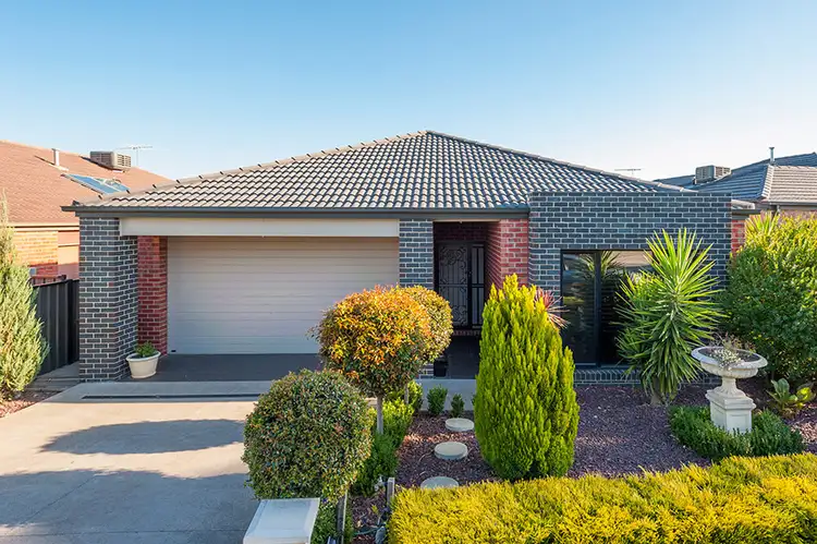 Main view of Homely house listing, 11 Black Range Avenue, Craigieburn VIC 3064