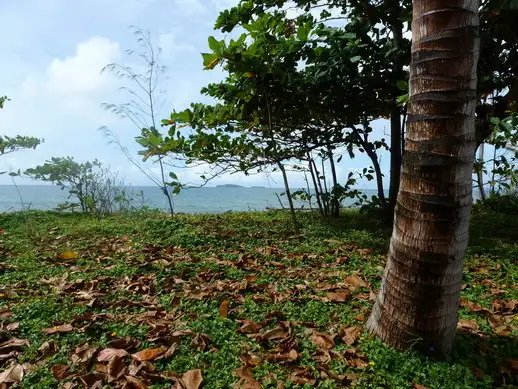 Fourth view of Homely land listing, Address available on request