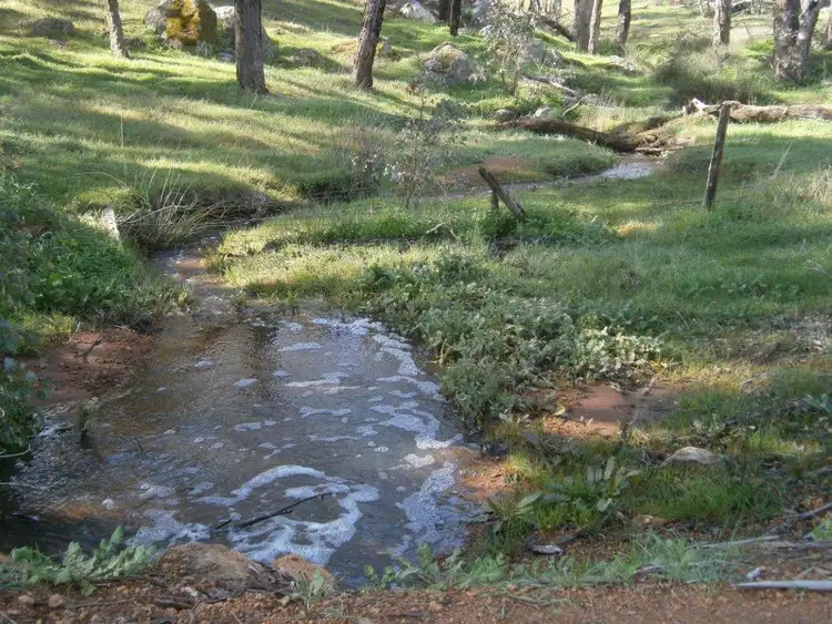 Fourth view of Homely rural property listing, 540 Dalmore Road, Winnejup WA 6255