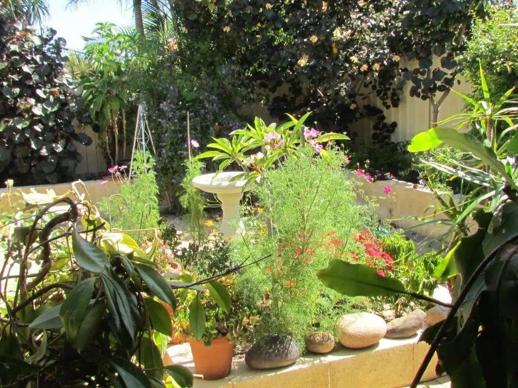 Main view of Homely house listing, 8 Pipe Lily Drive, High Wycombe WA 6057