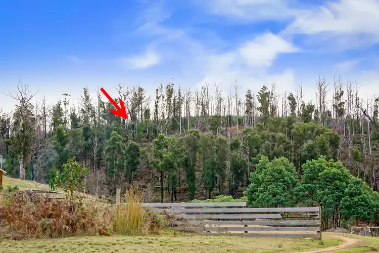 Second view of Homely land listing, 107 Inala Road, Forcett TAS 7173