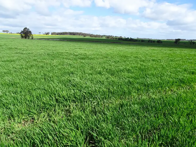 Seventh view of Homely rural property listing, "Koobadong West", Noble Rd, Wagin WA 6315