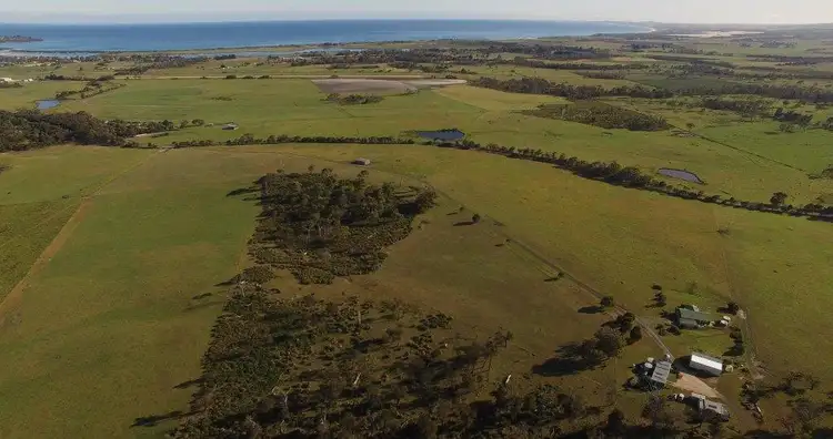 Sixth view of Homely rural property listing, 1791 Bridport Road, Bridport TAS 7262