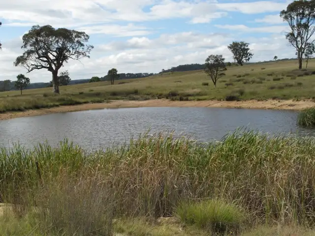 Main view of Homely rural property listing, Lot 1 Blue Springs Road, Mudgee NSW 2850