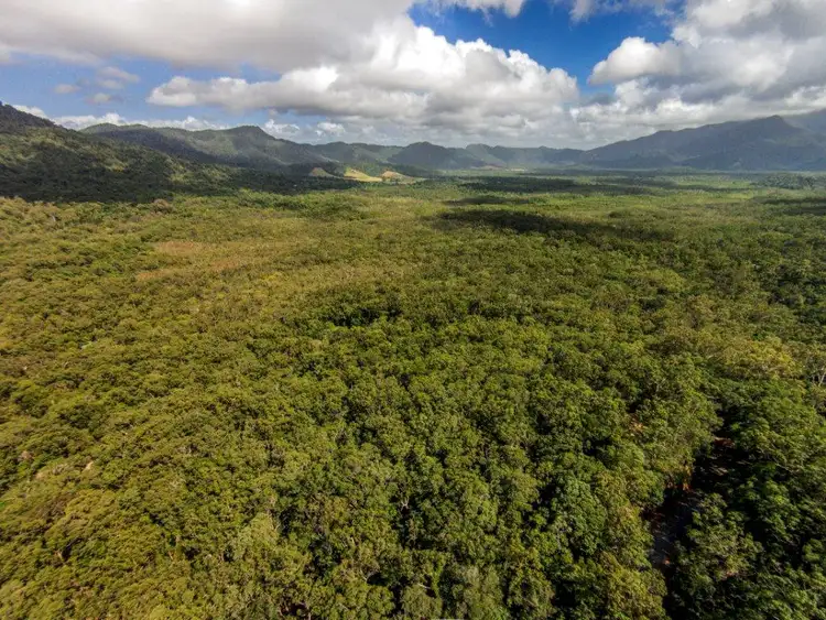 Fifth view of Homely land listing, 233 White Beech Rd, Daintree QLD 4873