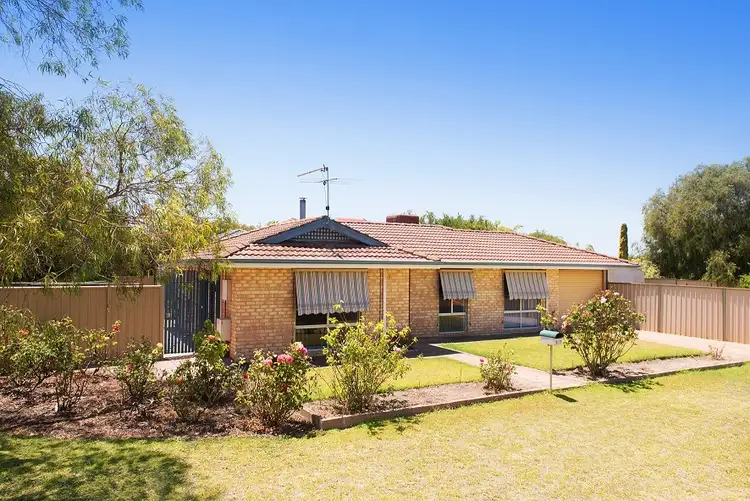 27 Blackswan Drive, West Busselton WA 6280
