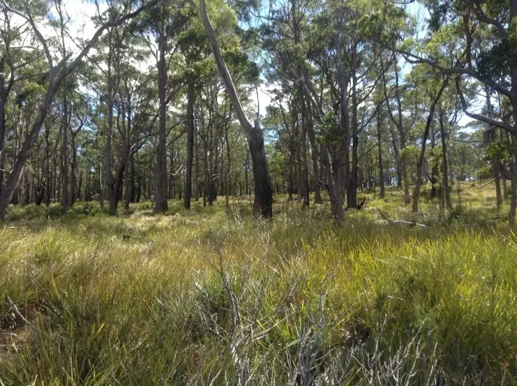 Fifth view of Homely land listing, 41 Pybus Rd, Apollo Bay TAS 7150