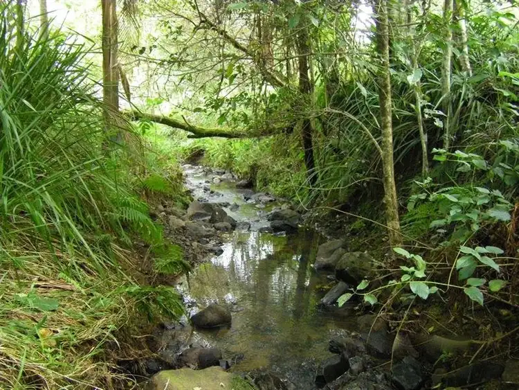 Third view of Homely land listing, Lot 6 Tulsi Lane, Nimbin NSW 2480