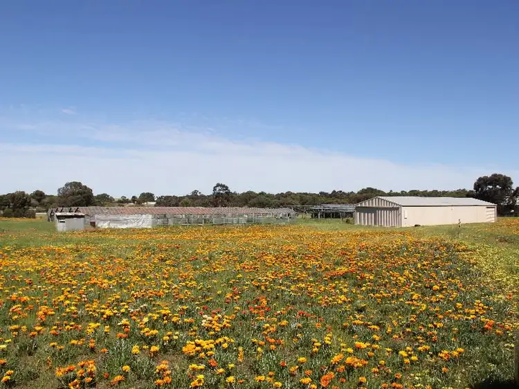 Third view of Homely house listing, 81 Tooma Road, Murray Bridge SA 5253