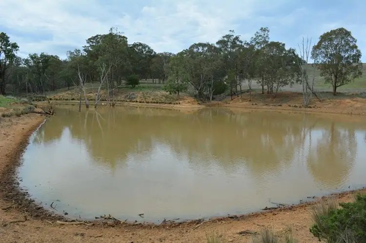 Seventh view of Homely rural property listing, 62 Purlewaugh Rd, Premer NSW 2381