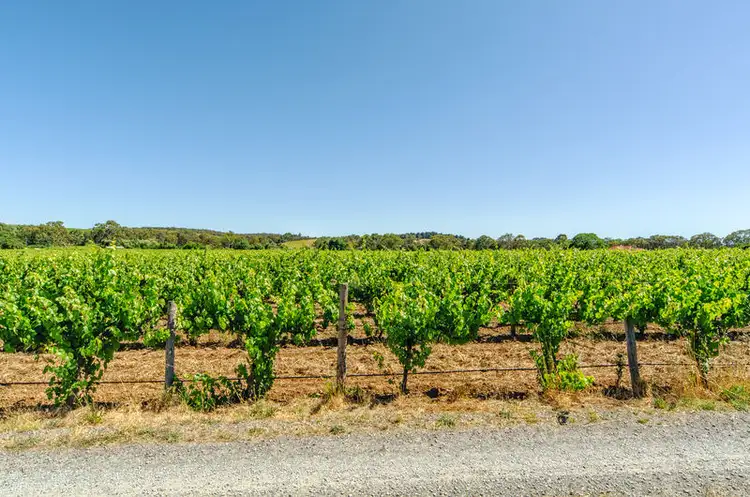 Fourth view of Homely house listing, 8 Swift Grove, Mclaren Flat SA 5171