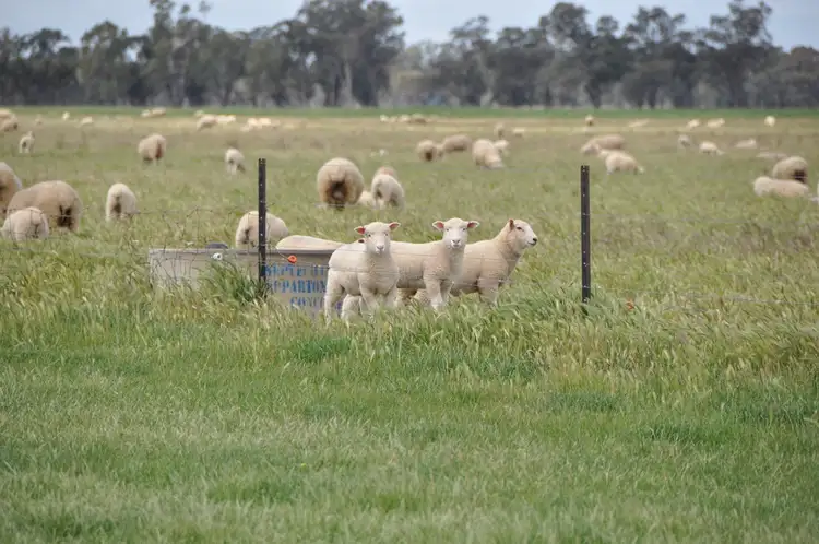 Second view of Homely rural property listing, 10 Hancocks Bridge Rd, Kotupna VIC 3638