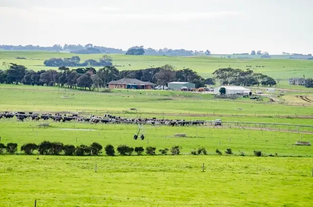 Second view of Homely rural property listing, 408 Settlers Road, Mount Schank SA 5291