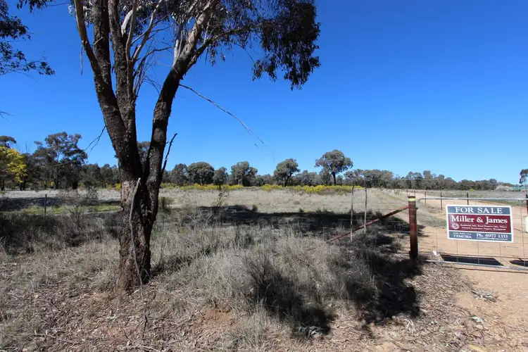 Main view of Homely rural property listing, 913 Thanowring Road, Temora NSW 2666