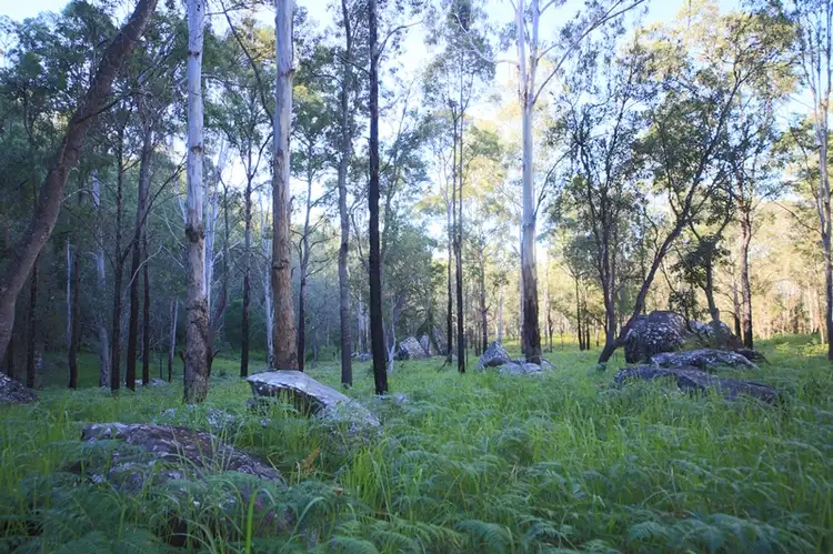 Third view of Homely rural property listing, Lot 129 Kangaroo Creek Road, Kangaroo Creek NSW 2460
