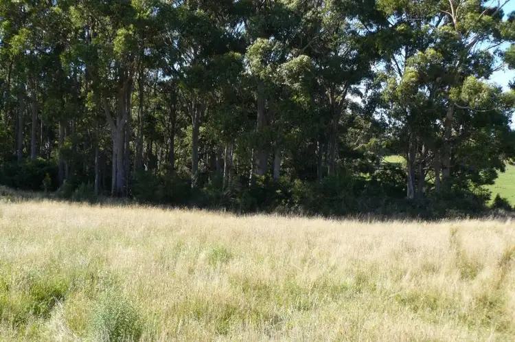 Fifth view of Homely land listing, Lot 1 Wencks Road, Port Arthur TAS 7182