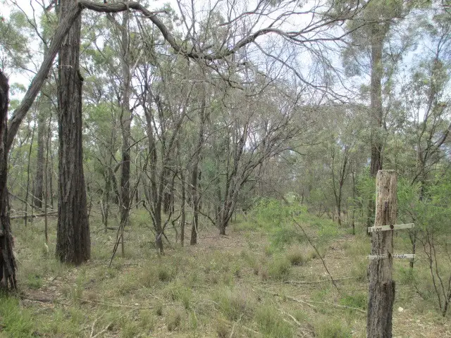 LOT 73 MALES DRIVE, Tara QLD 4421