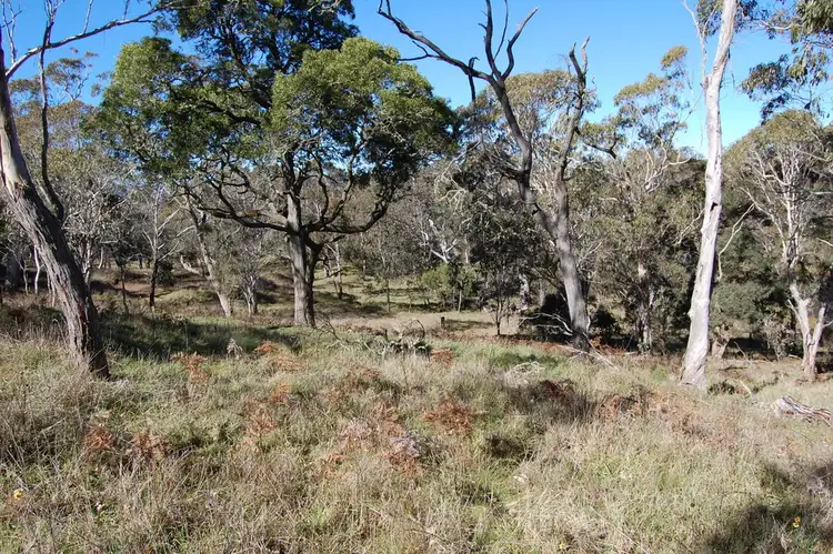 Third view of Homely land listing, 11 - 17 Cavanagh St, Ebor NSW 2453