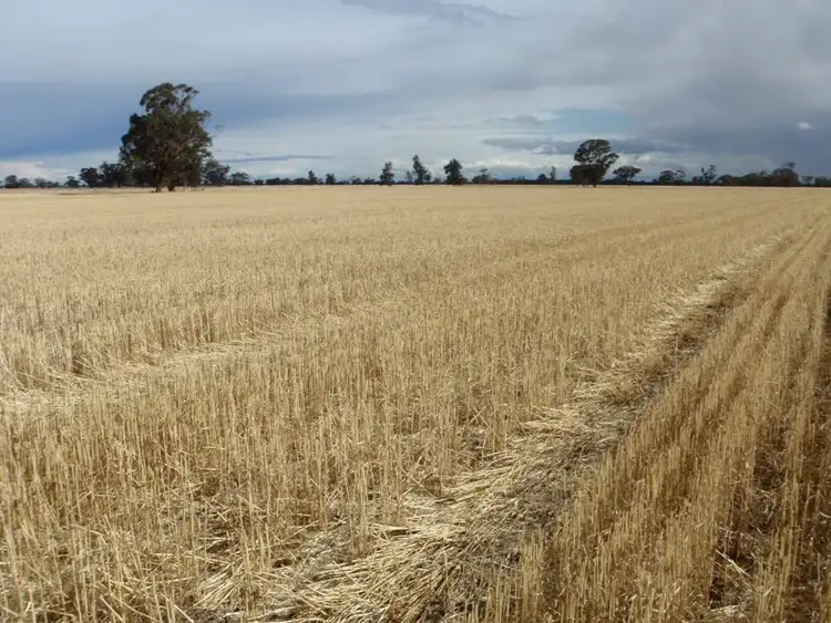 Third view of Homely rural property listing, Bull Plain Road, Rennie NSW 2646