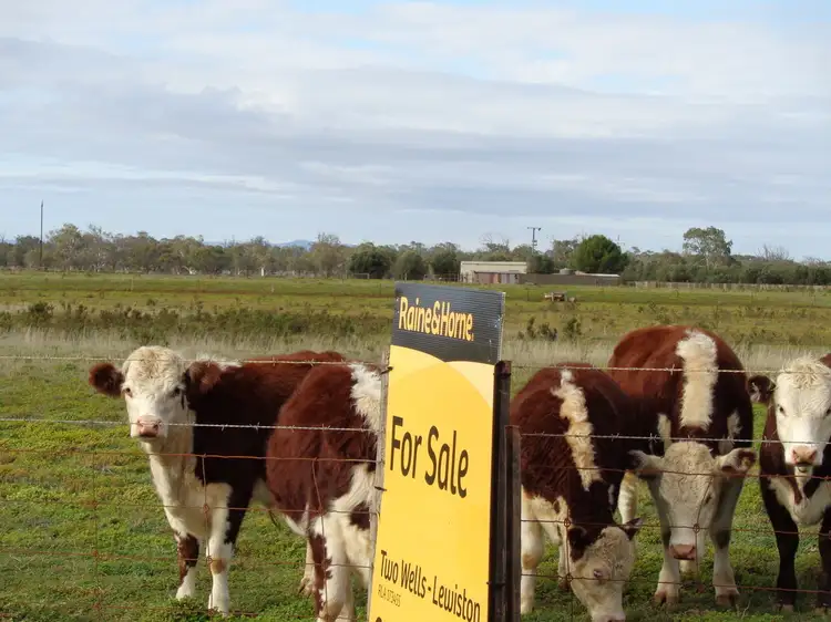 Second view of Homely land listing, 390 Port Gawler Road, Two Wells SA 5501