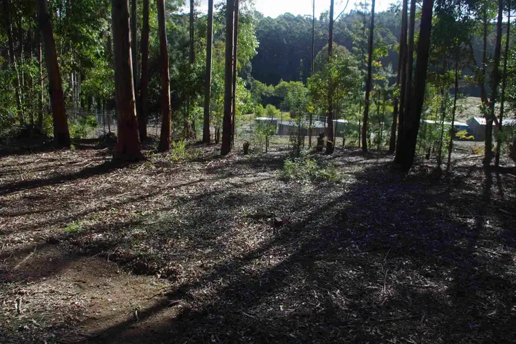 Sixth view of Homely land listing, Lot 132 Karri Lane, Quinninup WA 6258