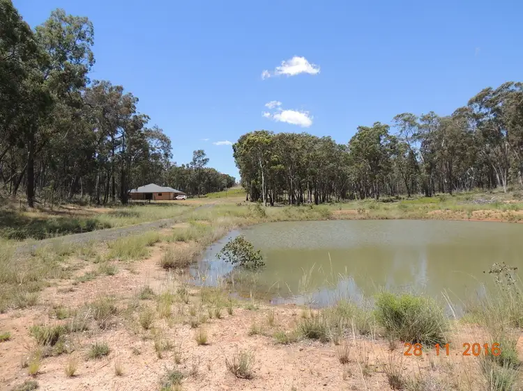 Fourth view of Homely rural property listing, 403 Timor Road, Coonabarabran NSW 2357