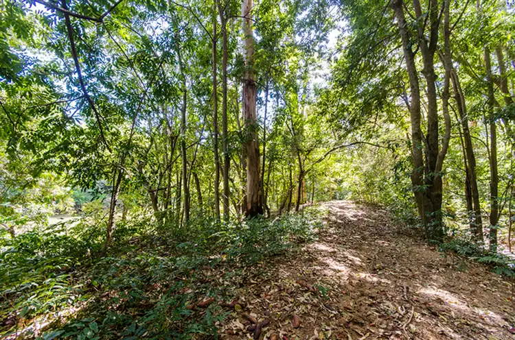 Sixth view of Homely house listing, 73 Bristol Arms Road, Ramornie NSW 2460