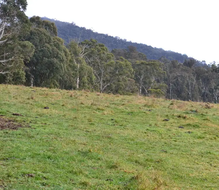 Seventh view of Homely rural property listing, (2)  3047 Benambra Corryong Road, Benambra VIC 3900