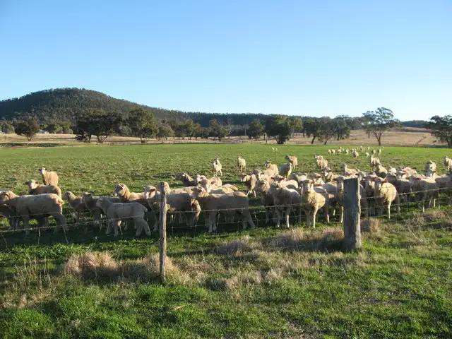 Main view of Homely rural property listing, 0 Sunview, Mandagery NSW 2870