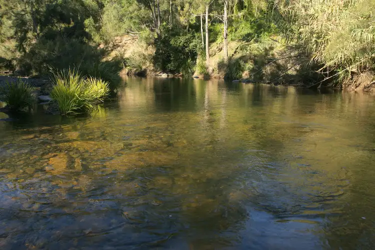 Third view of Homely rural property listing, 202 Torryburn Road, Vacy NSW 2421