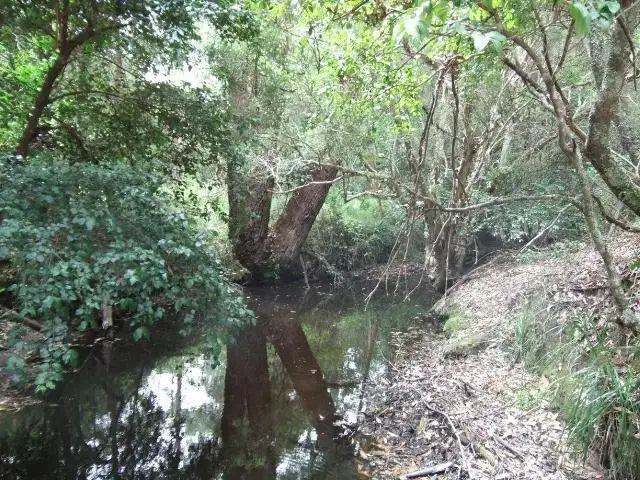Second view of Homely land listing, Address available on request