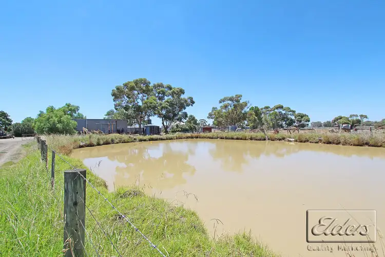 Third view of Homely rural property listing, 11 Rodgers Road, Dingee VIC 3571