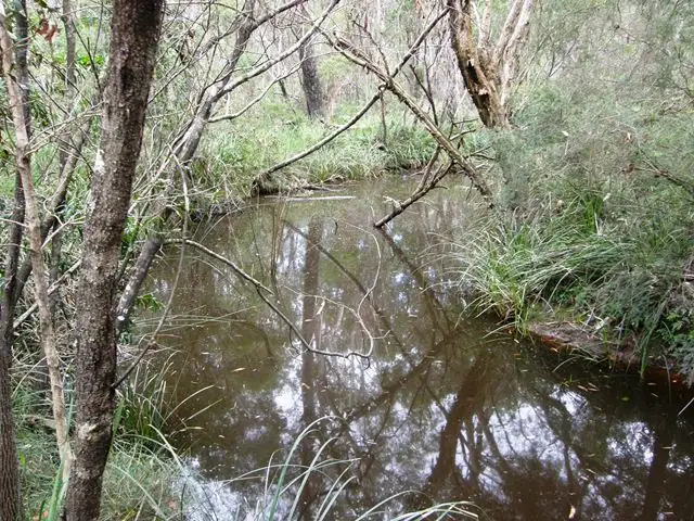 Fifth view of Homely rural property listing, 575 Dinjerra Road, Glenugie NSW 2460