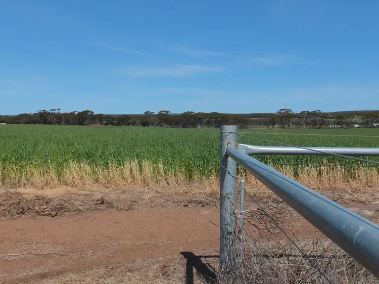 Third view of Homely land listing, Lot 1393 South Coast Highway, Ravensthorpe WA 6346