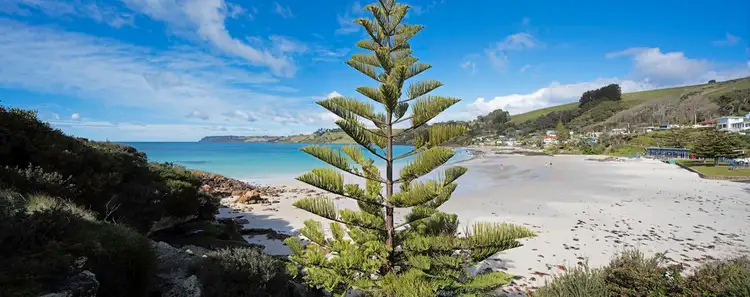 Fifth view of Homely house listing, 317 Port Road, Boat Harbour Beach TAS 7321
