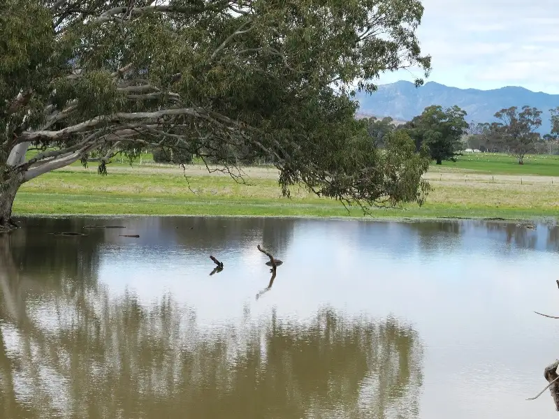 Main view of Homely rural property listing, # Brimpaen Laharum Road Laharum Via, Horsham VIC 3400