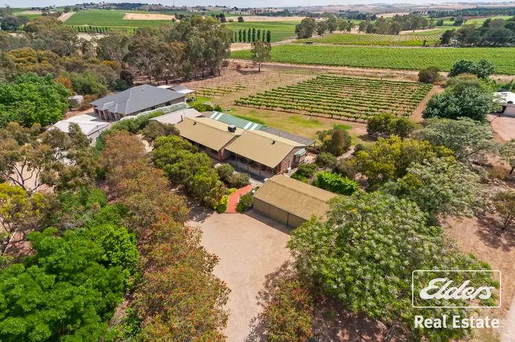 Main view of Homely house listing, 19 Denholm Court, Lyndoch SA 5351