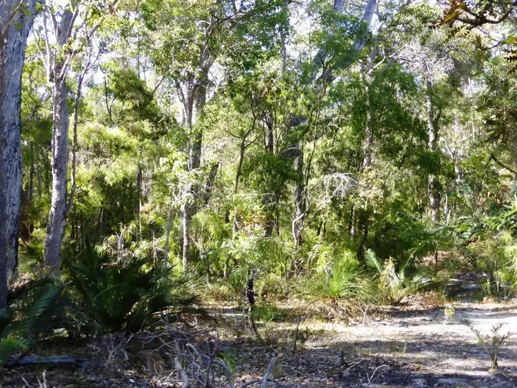 Fourth view of Homely land listing, 12 Hale Avenue, Molloy Island WA 6290