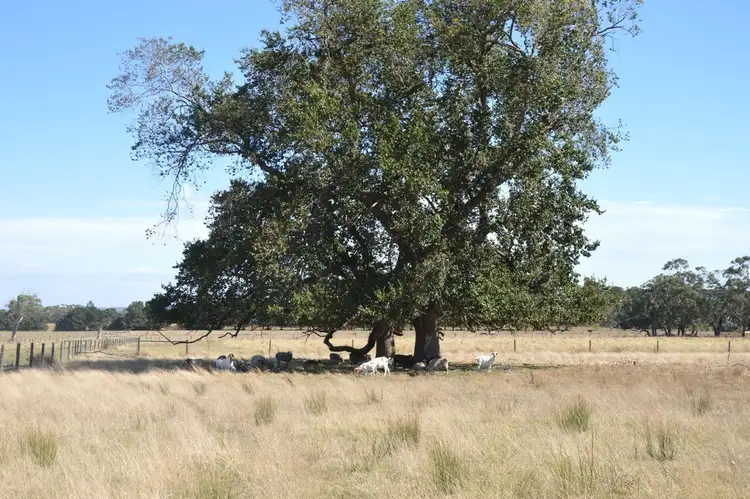 Fourth view of Homely rural property listing, 184 Peacock Road, The Gurdies VIC 3984